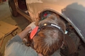 2007_0907Bild0010