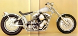 Shovelhead - der Schrotthaufen